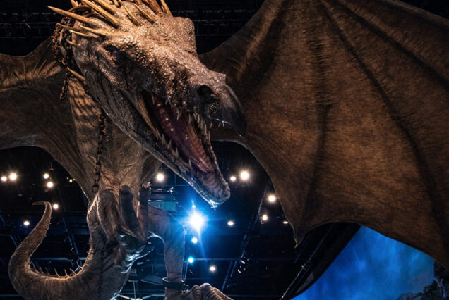 Harry Potter studio 5 horas